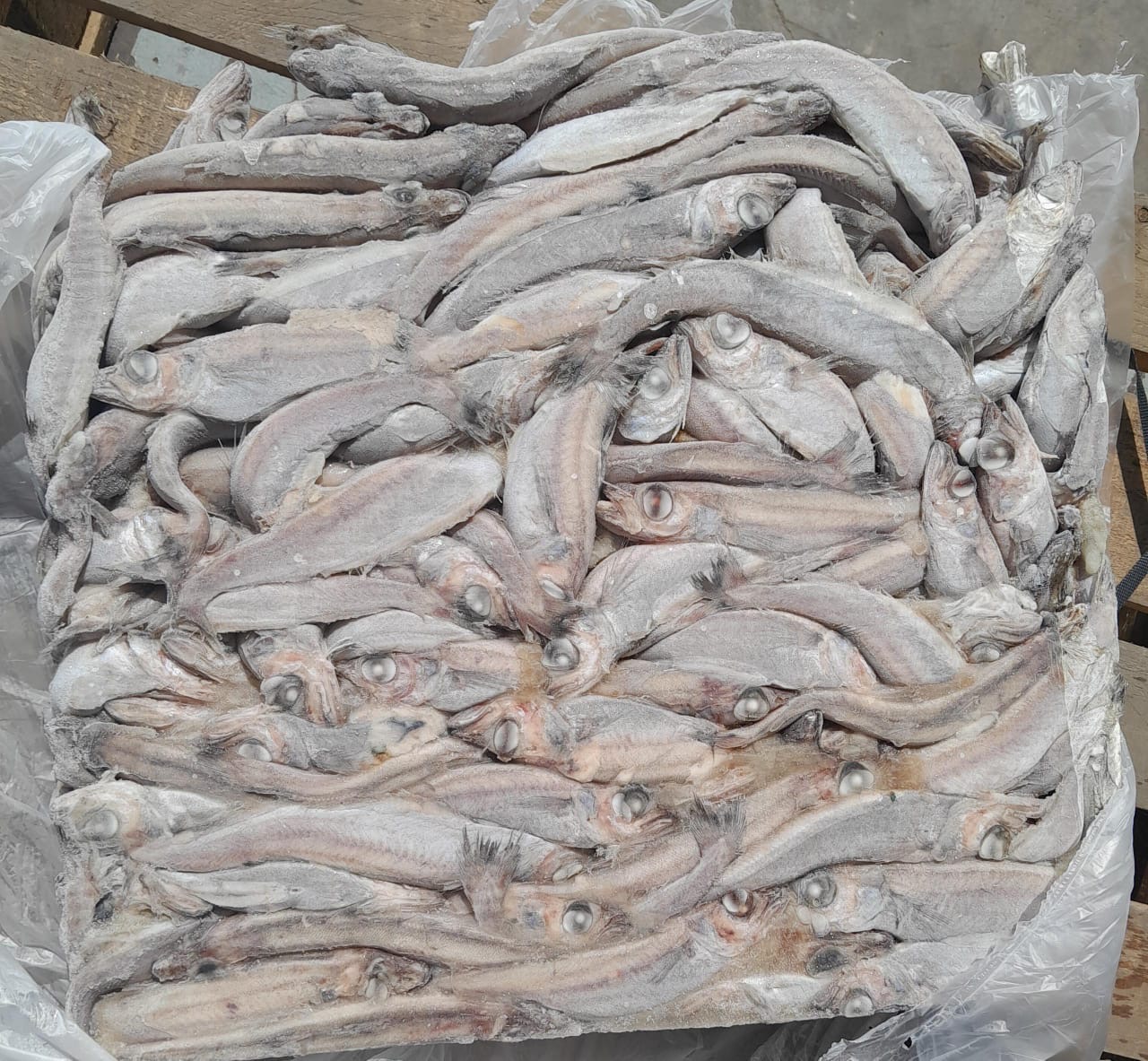 Blue Whitening (Panla)